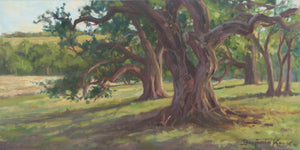 Country Live Oaks
