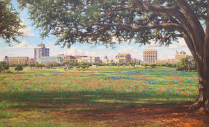 Texas A&M Campus View