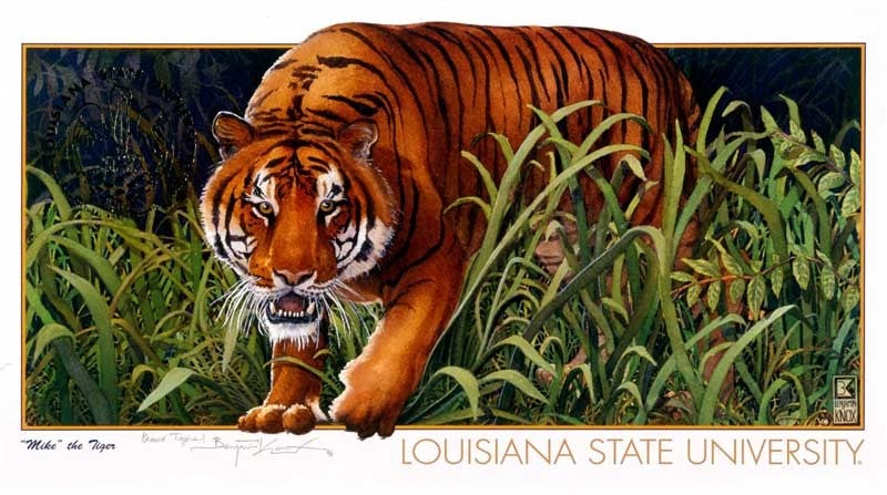 LSU Mike the Tiger - Louisiana State University