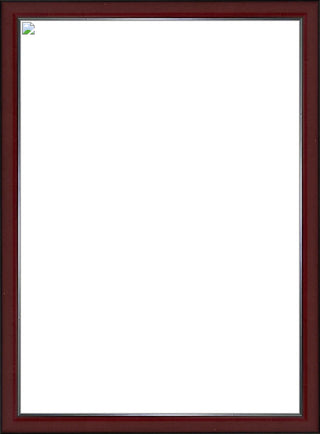 New Product Image