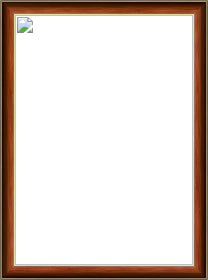 New Product Image