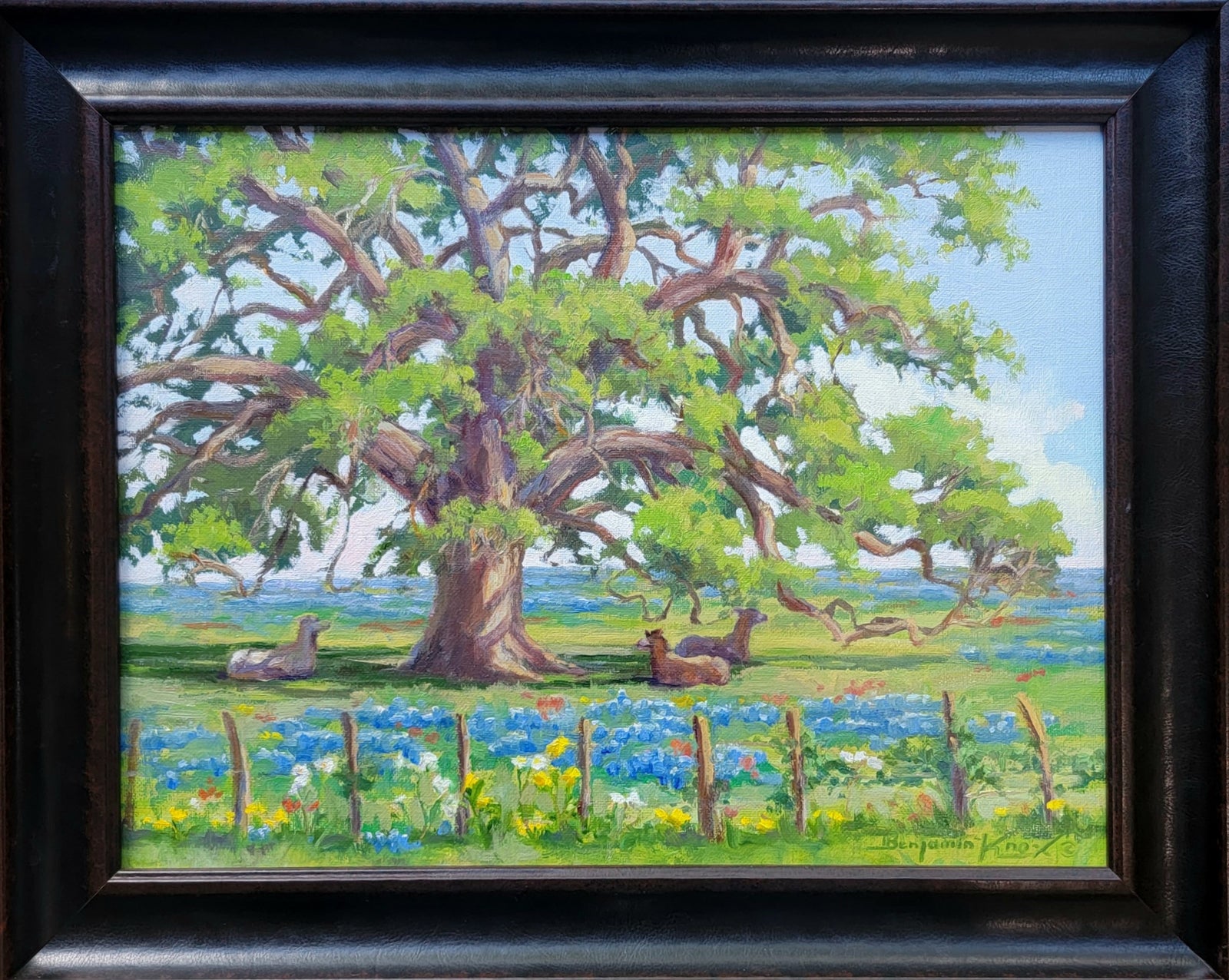 Two Llamas and their Mama