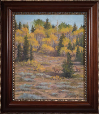 Autumn Elk