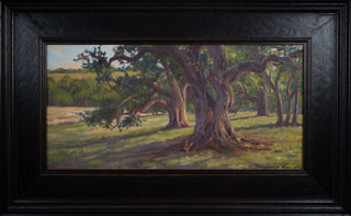 Country Live Oaks