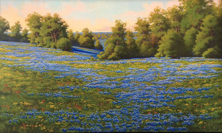 Miles of Bluebonnets
