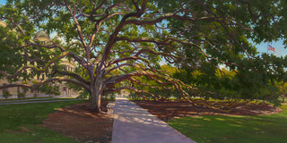 Century Tree Color (LIVEARf)