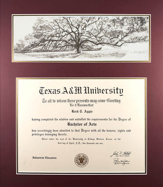 Diploma with Century Tree Pencil Sketch (LIVEARf)