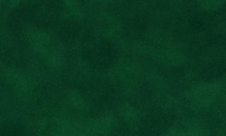 Rainforest A3703