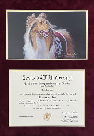 Diploma with Reveille X Print (LIVEARf)