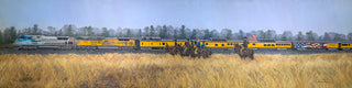 The Ride Home - Bush 4141 Train (LIVEARf)