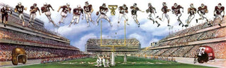 Texas A&M University - Kyle Field Panoramic - Print - Benjamin Knox Fine Art Gallery