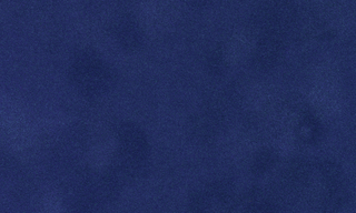 Bermuda A3704