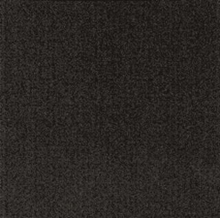 Coal A4875