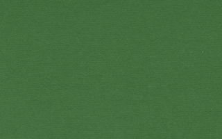 Forest Green 9820