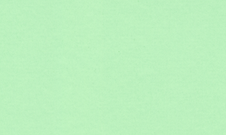 Frond 9536