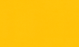 Golden 9894