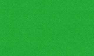 Lawn 9896