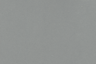 Neutral Gray 5713