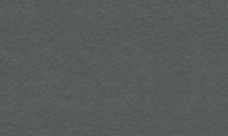 Pewter 9895