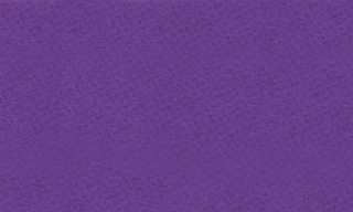 Pruple Iris 9879