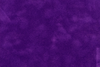 Pruple Torch 5636