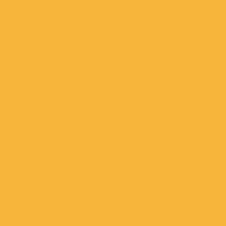 Saffron A4852