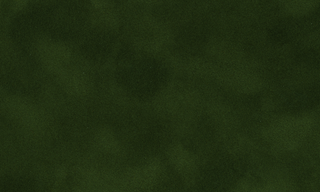 Shamrock Green B/C 67111