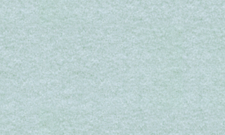 Silver B/C 9945