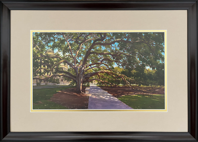 Texas A&M Century Tree Color - Framed 2MS - 10"x17"