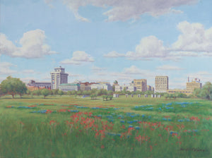 Texas A&M Campus in Spring