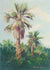 2 Palm Trees