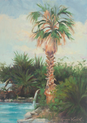Palm Tree and Waterfall