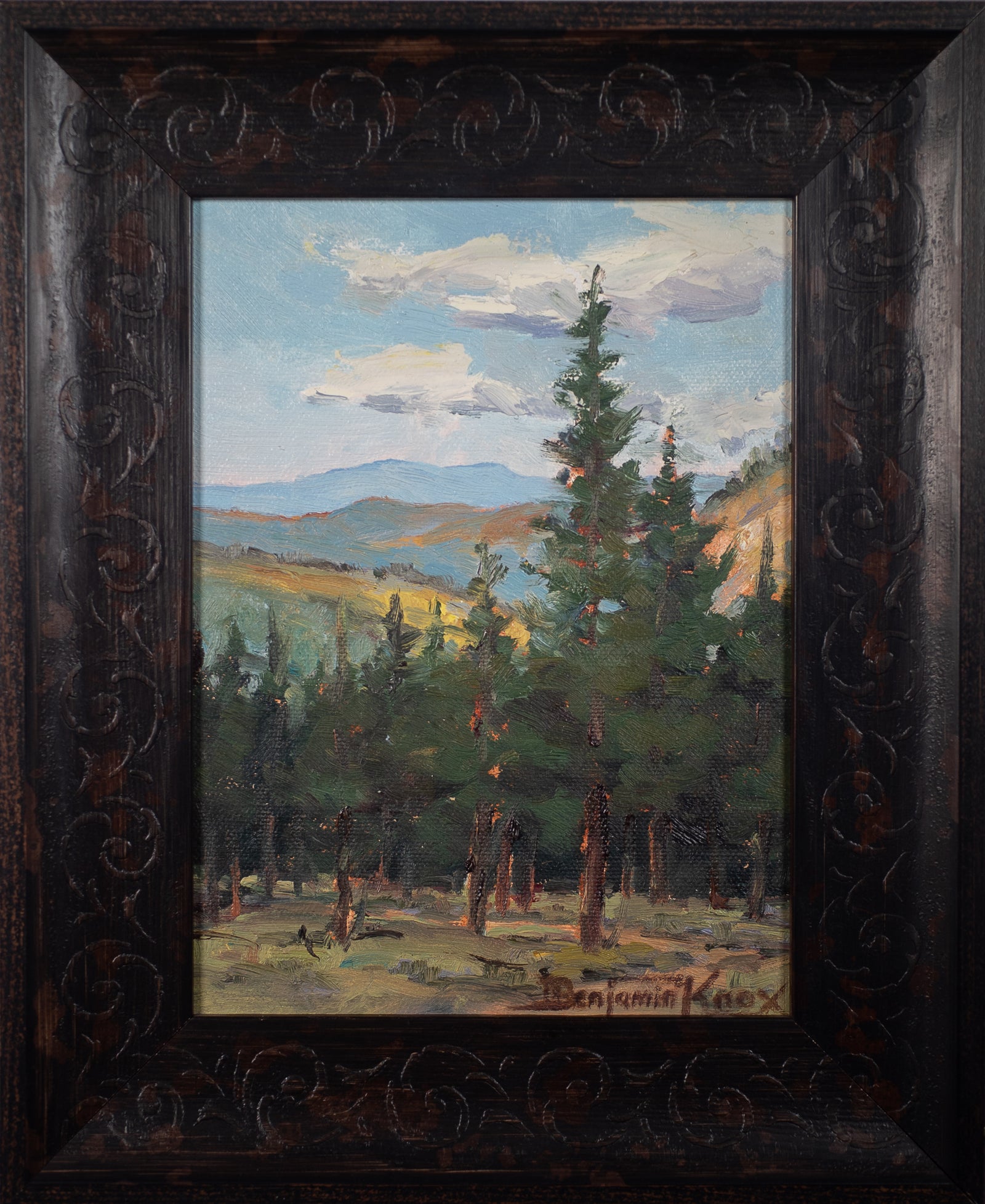 View from the Hawk's Nest