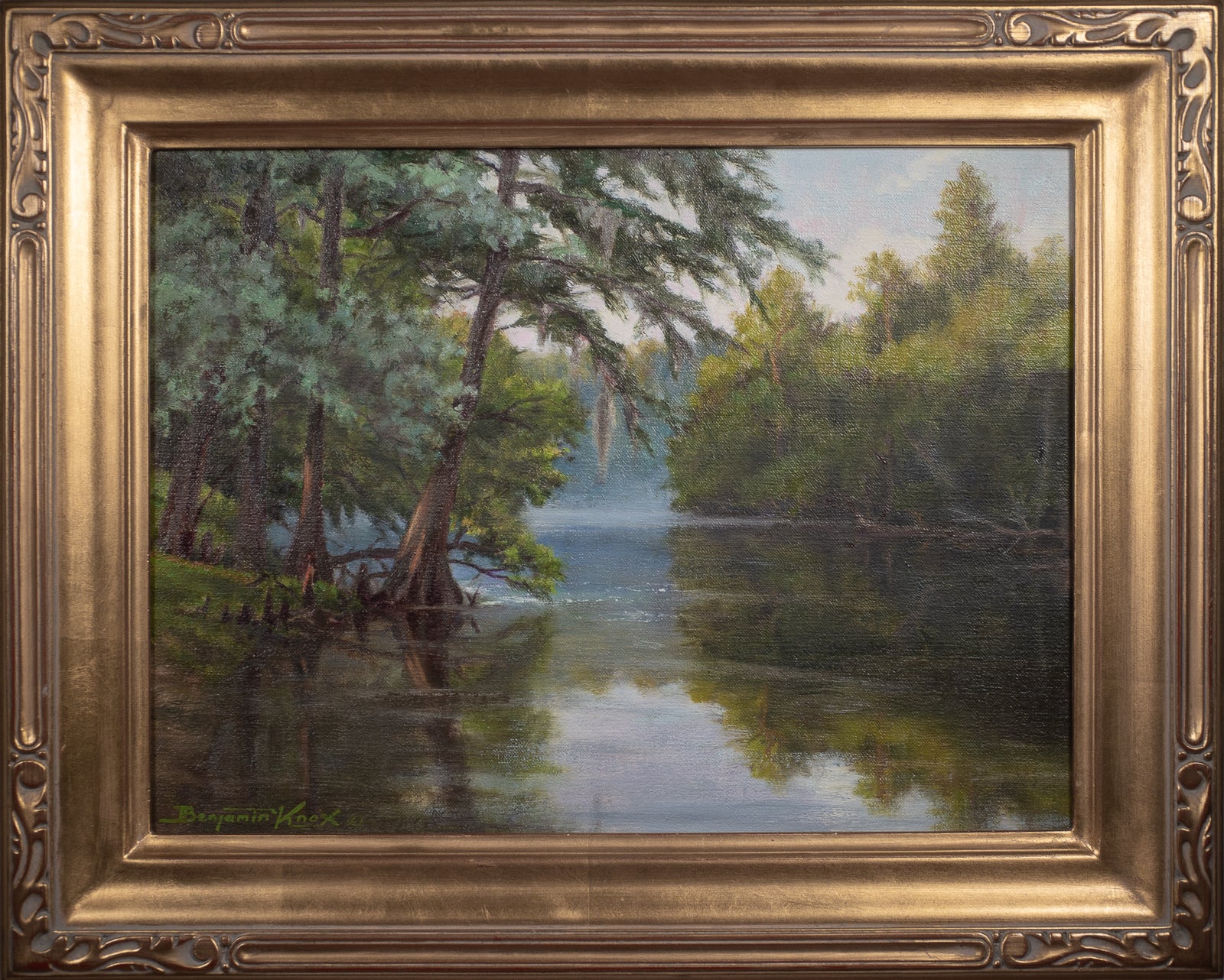 Illumination and Coolness - Morning Fog