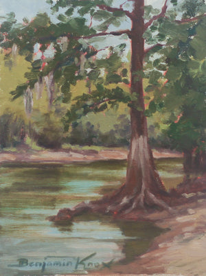 River Cypress