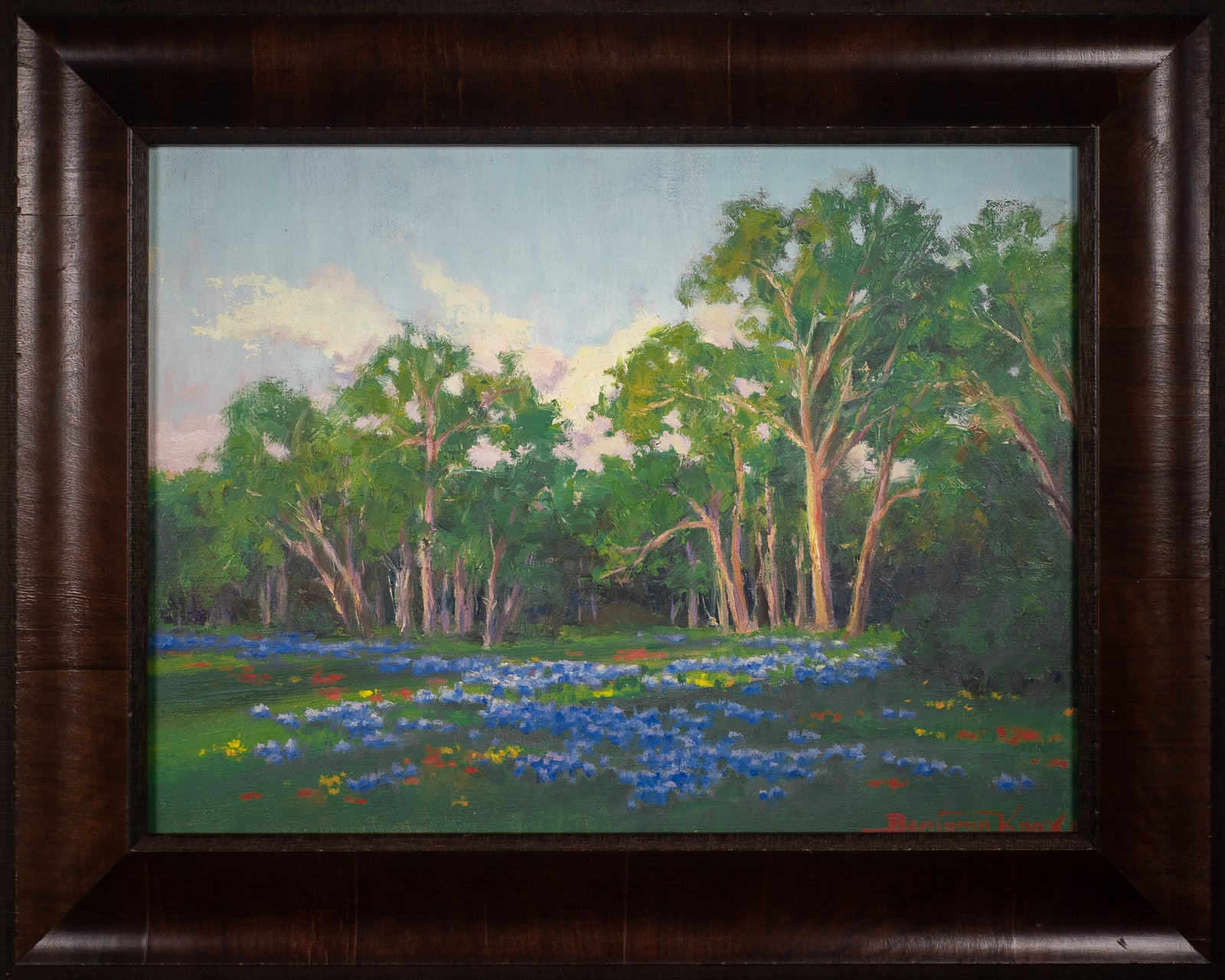 The Illumination of Spring