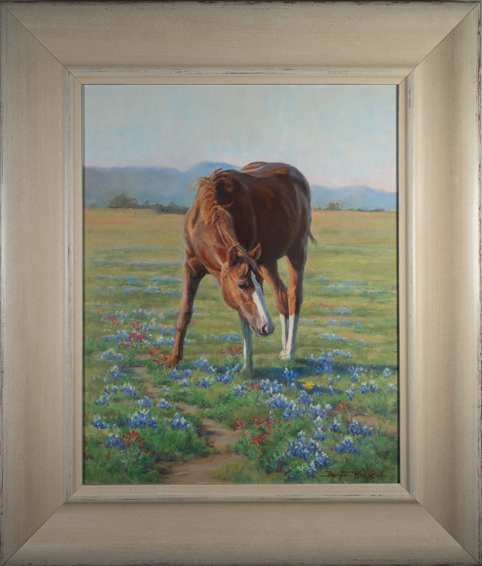 Little Yellow with Thoroughbred