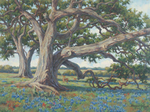 Under the Old Oaks - Displayed in the 34th Bosque Art Classic