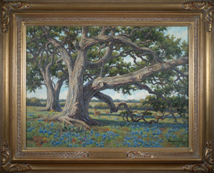 Under the Old Oaks - Displayed in the 34th Bosque Art Classic
