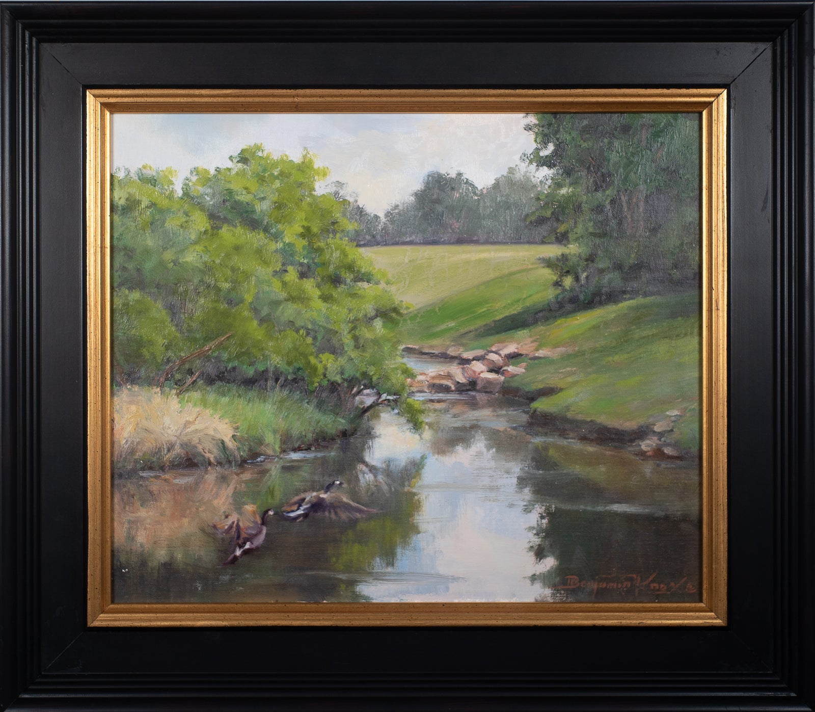 Canadian Geese - Miramont