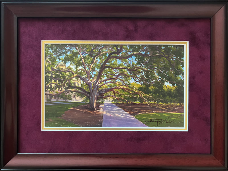 Texas A&M Century Tree color small - Framed 2MSS - 6x10 - Benjamin Knox  Gallery