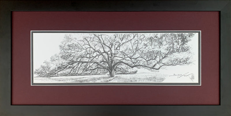 Century Tree Pencil Sketch - Framed 2MS