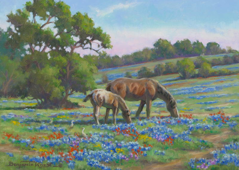 Horses in Bluebonnets