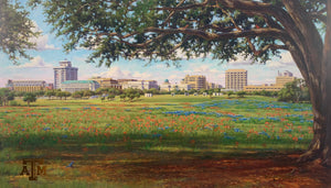 Texas A&M Campus View