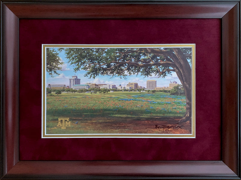 Texas A&M Campus View - Framed 2MSS - 6"x10"