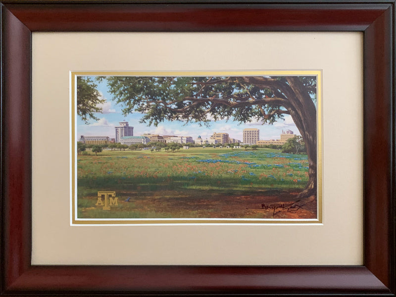 Texas A&M Campus View - Framed 2MS - 6"x10"