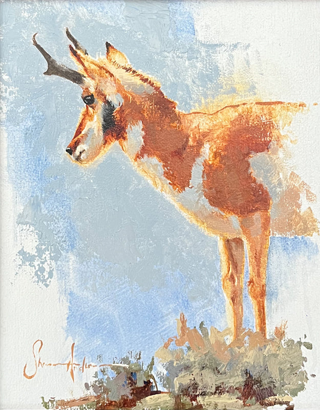 Desert Pronghorn - Giclée print by artist Shaun Anderson