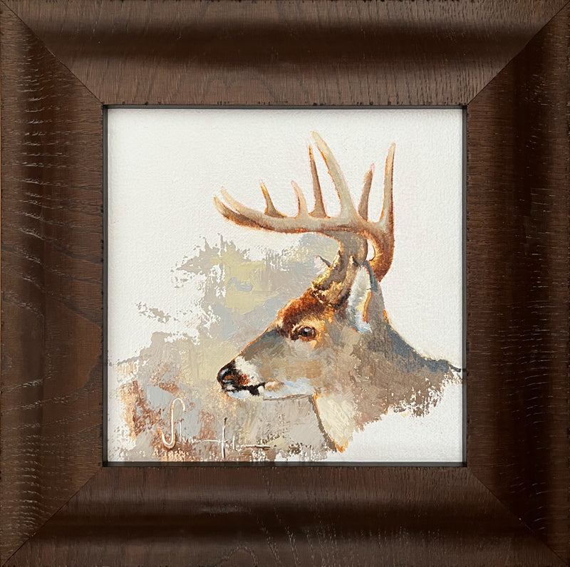Whitetail - by featured artist Shaun Anderson