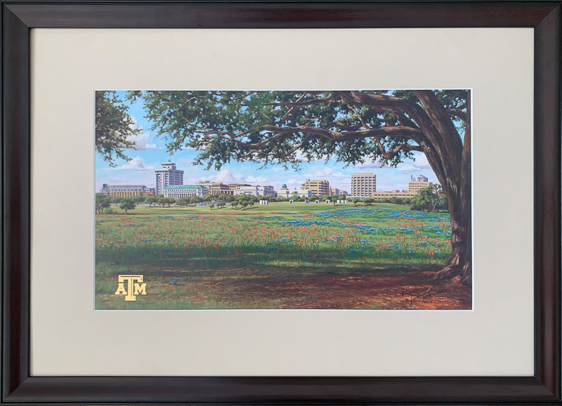 Texas A&M Campus View - Framed 1MS -10"x17"