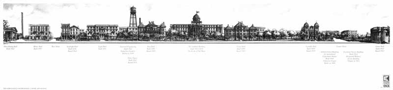 Texas A&M University - Military Walk - Print - Benjamin Knox Fine Art Gallery